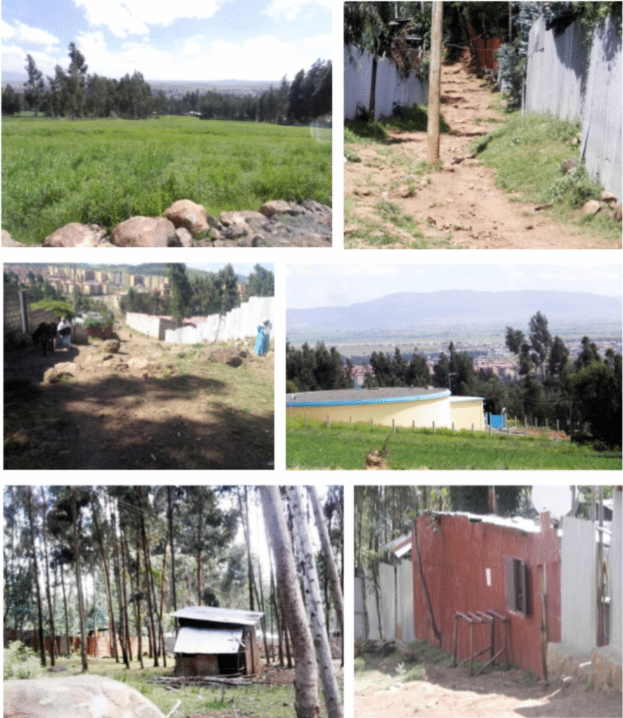 Yeka Abado Local Development Plan (LDP)